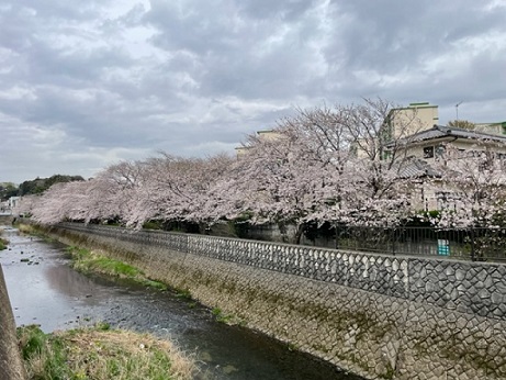 新着情報の画像